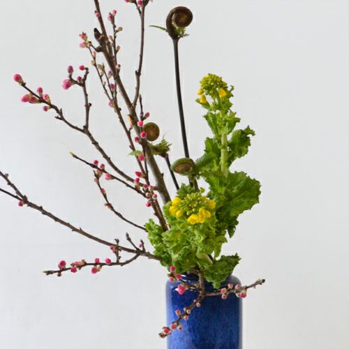 桃いけばな花材 桃・薇・菜の花（花つれづれ桃の号No.2）｜青山花茂本店