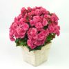 ベゴニア（ピンク）の花鉢