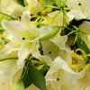 ユリやグロリオサの花束＜エレイン＞