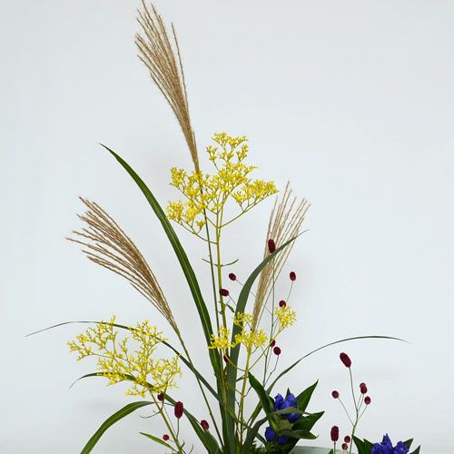 いけばな花材　<薄・女郎花・吾亦紅・竜胆・日蔭蔓>