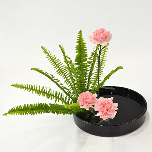 いけばな花材<玉羊歯・カーネーション>