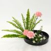 いけばな花材<玉羊歯・カーネーション・小菊>