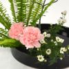 いけばな花材<玉羊歯・カーネーション・小菊>