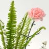 いけばな花材<玉羊歯・カーネーション・小菊>