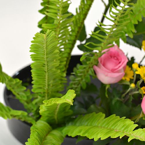 いけばな花材<玉羊歯・バラ・小菊>