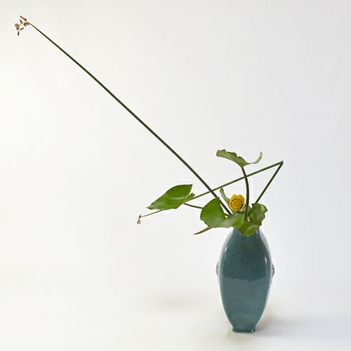 河骨いけばな花材＜河骨・太藺＞