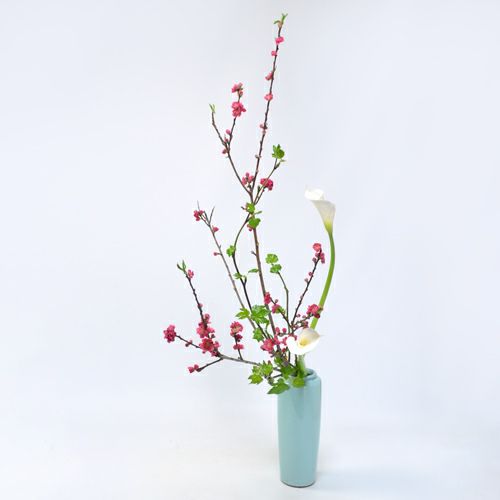 花桃いけばな花材＜桃・芽出し木苺・カラー＞