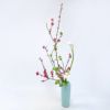 花桃いけばな花材＜桃・芽出し木苺・カラー＞