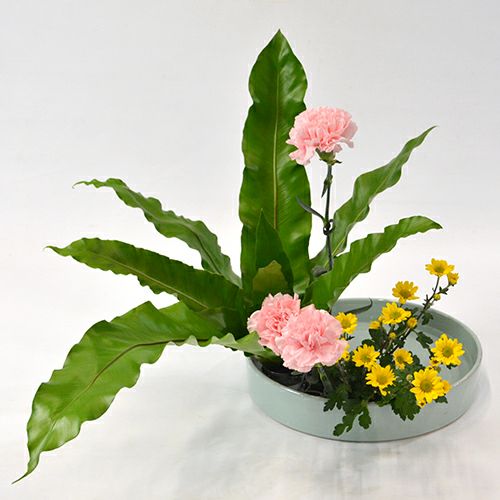 いけばな花材<谷渡り・カーネーション・小菊>
