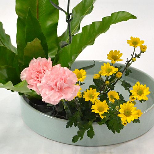 いけばな花材<谷渡り・カーネーション・小菊>