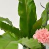 いけばな花材<谷渡り・カーネーション・小菊>