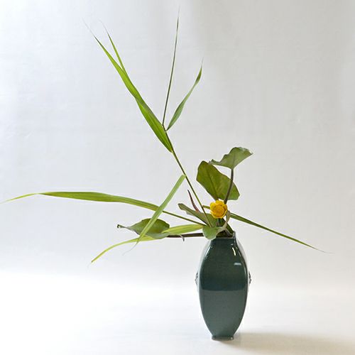 河骨いけばな花材＜河骨・葦＞