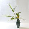 河骨いけばな花材＜河骨・葦＞