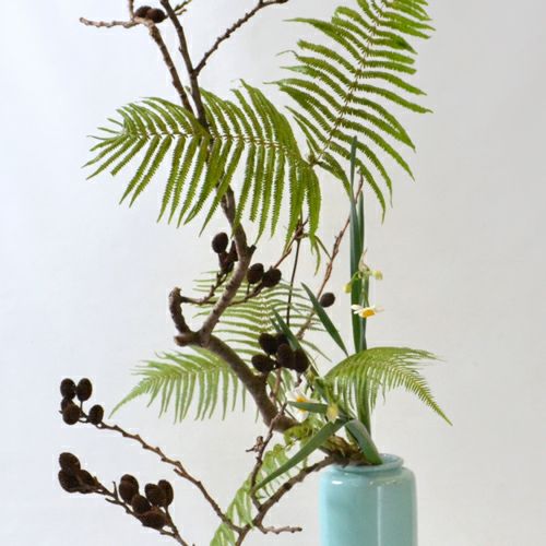 冬いけばな花材＜榛の木・日本水仙・裏白羊歯＞