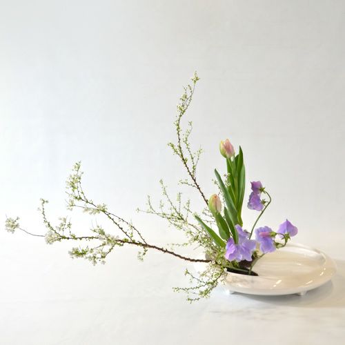 早春いけばな花材 雪柳・八重咲チューリップ・スイートピー（花