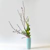 花桃いけばな花材<桃・麦・菜の花>