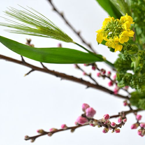 花桃いけばな花材<桃・麦・菜の花>