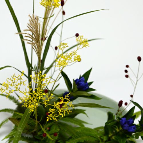いけばな花材＜薄・女郎花・吾亦紅・竜胆・山羊歯＞
