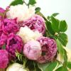 3種類の芍薬（ピオニー）の花束