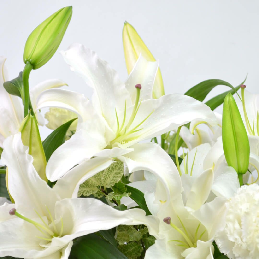 カサブランカの純白のアレンジメント（ご供花）｜青山花茂本店