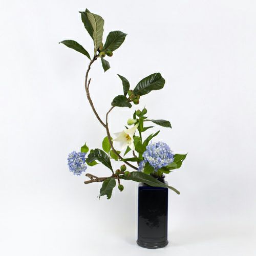 夏のいけばな花材＜枇杷・鉄砲百合・紫陽花＞