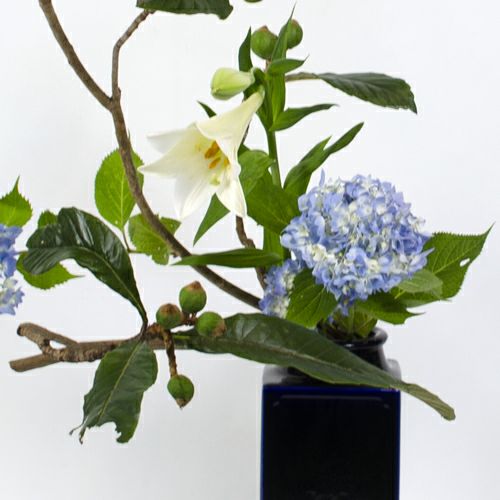 夏のいけばな花材＜枇杷・鉄砲百合・紫陽花＞