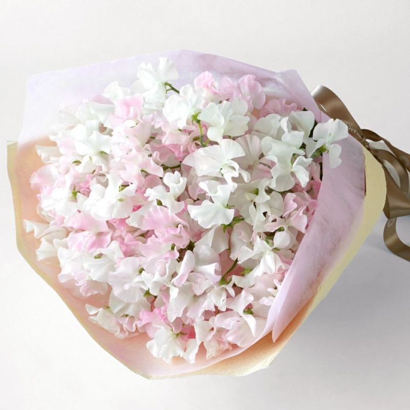 白とピンクのスイートピーの花束