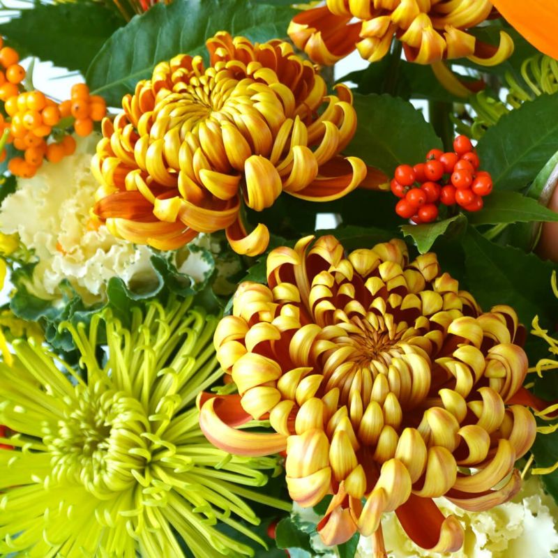 【お正月・お年賀】小松や白梅、オレンジの複色と黄緑の大輪マムのアレンジメント