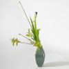 初夏のいけばな花材＜燕子花・未央柳・太藺＞