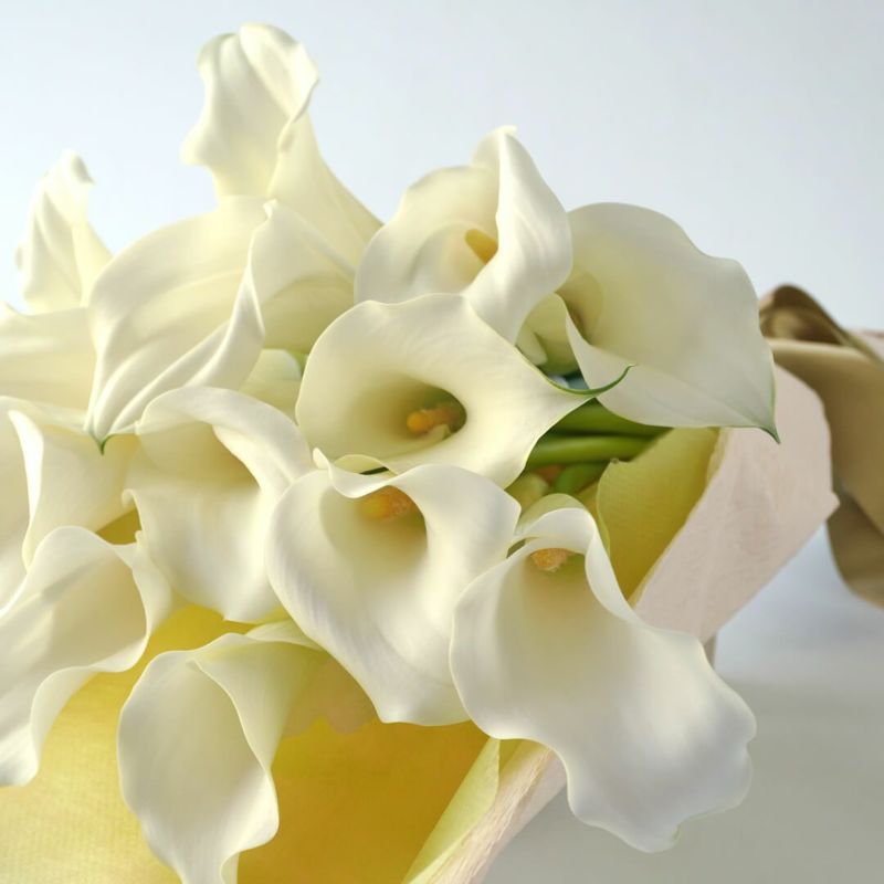 白いカラーの花束