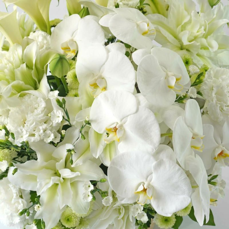 大輪胡蝶蘭や八重咲きユリなど純白のお供えアレンジメント