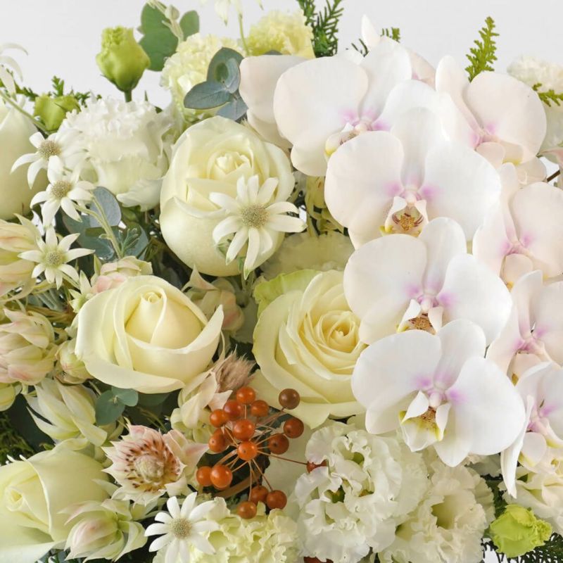 【お歳暮・クリスマス】白いミディ胡蝶蘭や大輪バラのアレンジメント