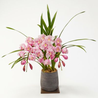 ピンクのアーチ型のシンビジュームの鉢植え