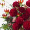 【お歳暮・クリスマス】赤いダリアやバラのアレンジメント