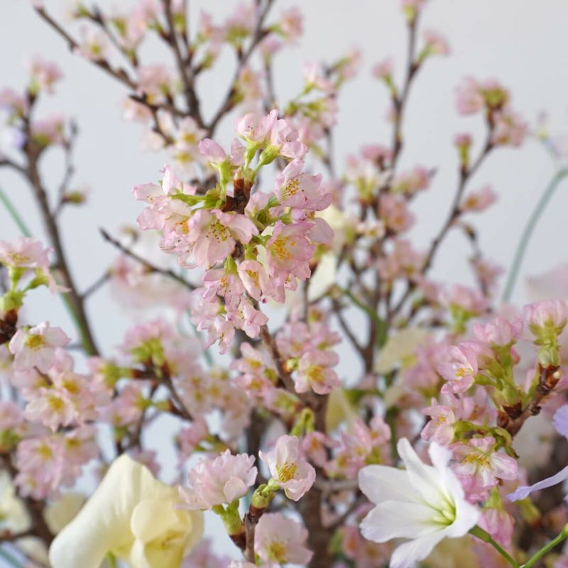 桜やバラ、ラナンキュラスのアレンジメント