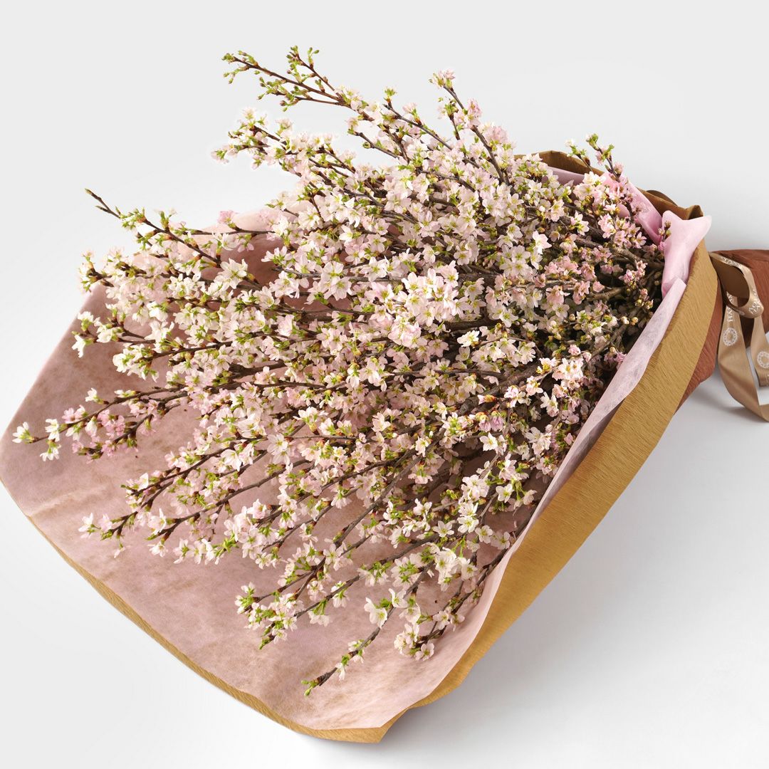 ミモザのドライフラワースワッグ｜青山花茂本店