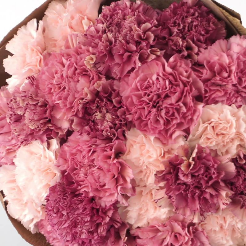 【母の日】濃淡ピンクのカーネーションの花束