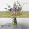 季節の花の花瓶活け