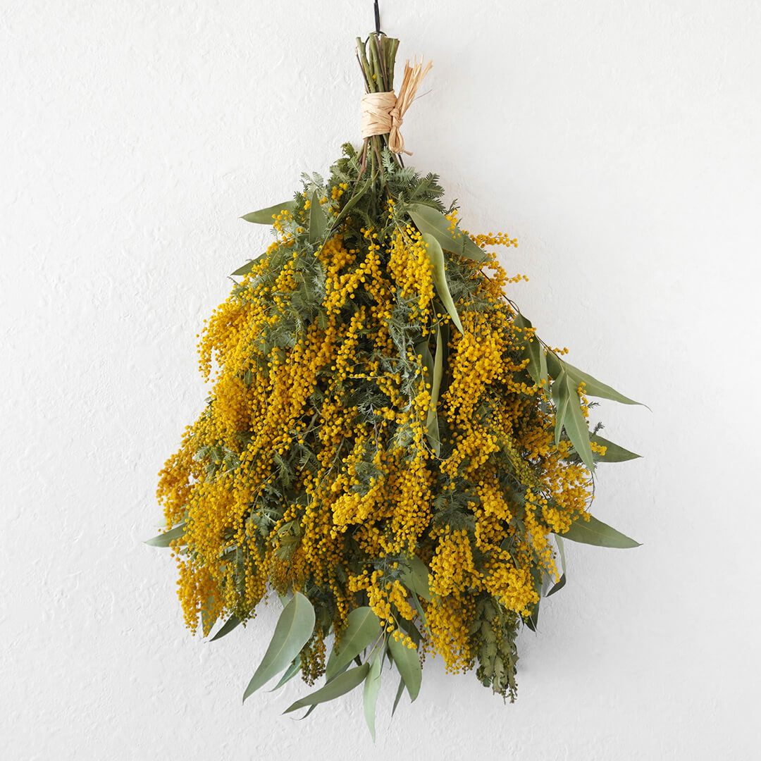 ミモザのドライフラワースワッグ｜青山花茂本店