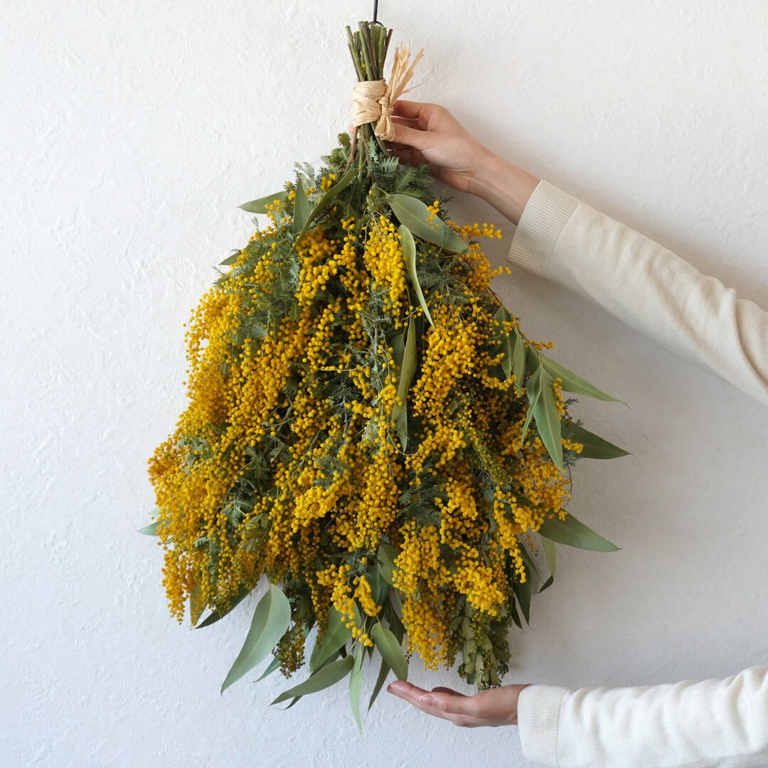 ミモザのドライフラワースワッグ｜青山花茂本店