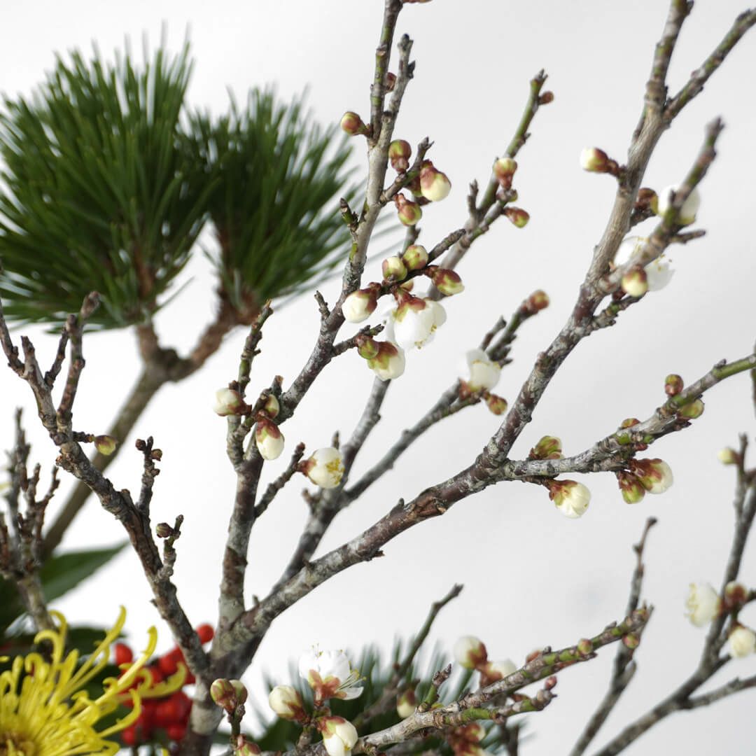 【お正月・お年賀】三光松やピンクのマムのアレンジメント