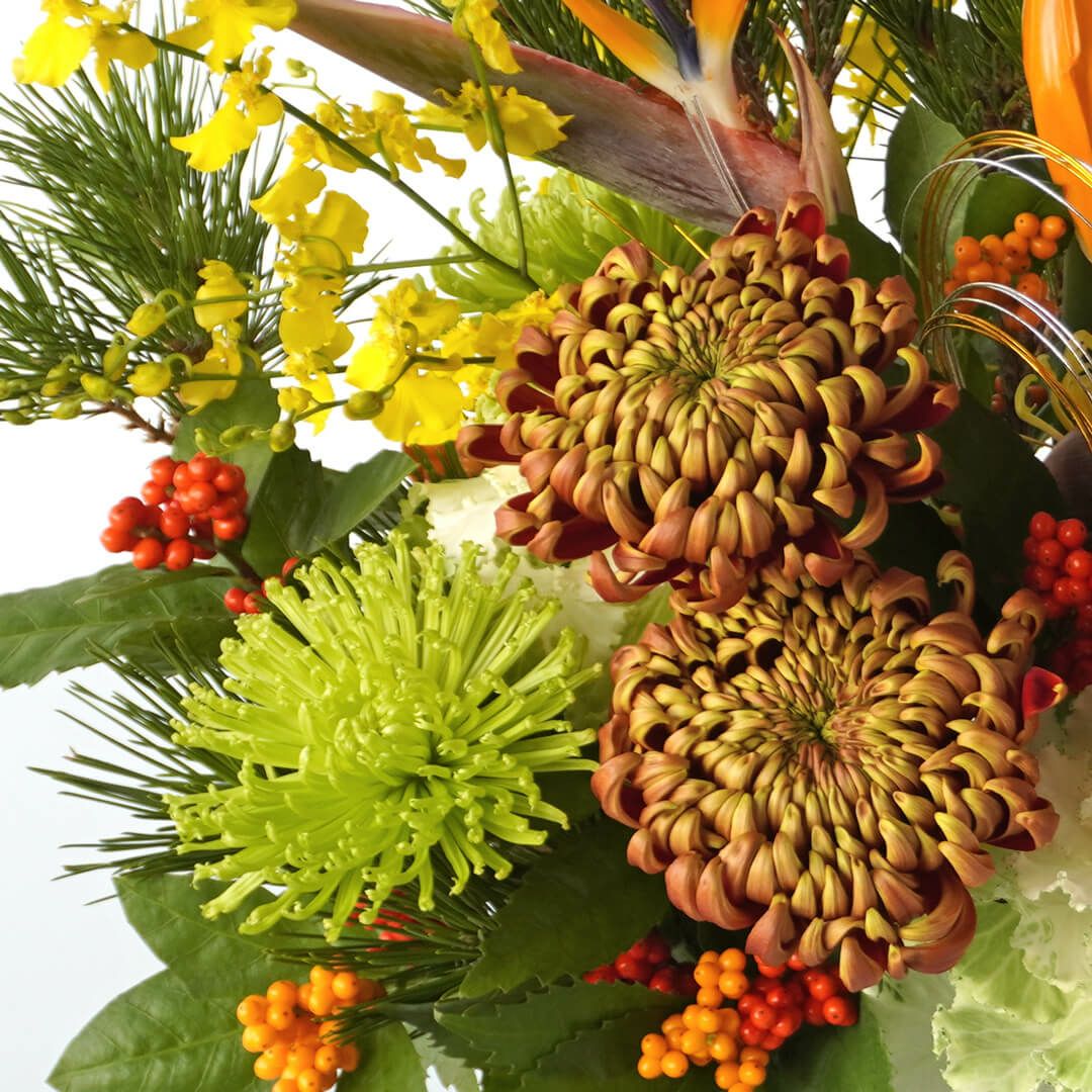 【お正月・お年賀】ストレチアやオレンジの複色のマムのアレンジメント