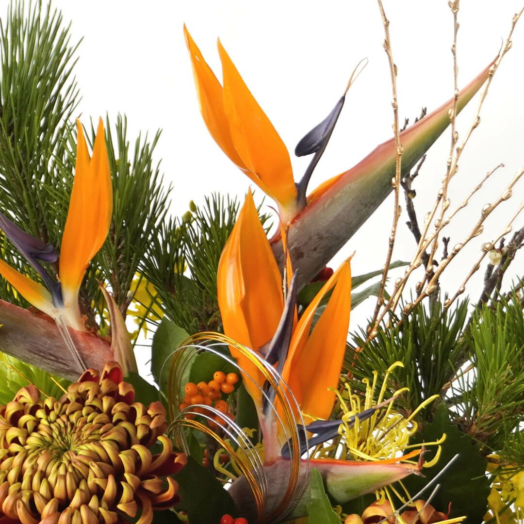 【お正月・お年賀】ストレチアやオレンジの複色のマムのアレンジメント