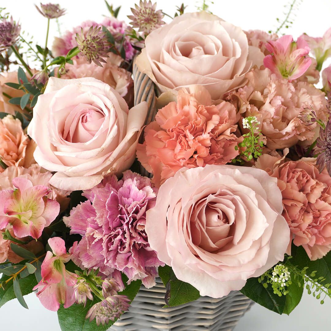 【母の日】複色のカーネーションや淡いピンクの大輪バラのアレンジメント