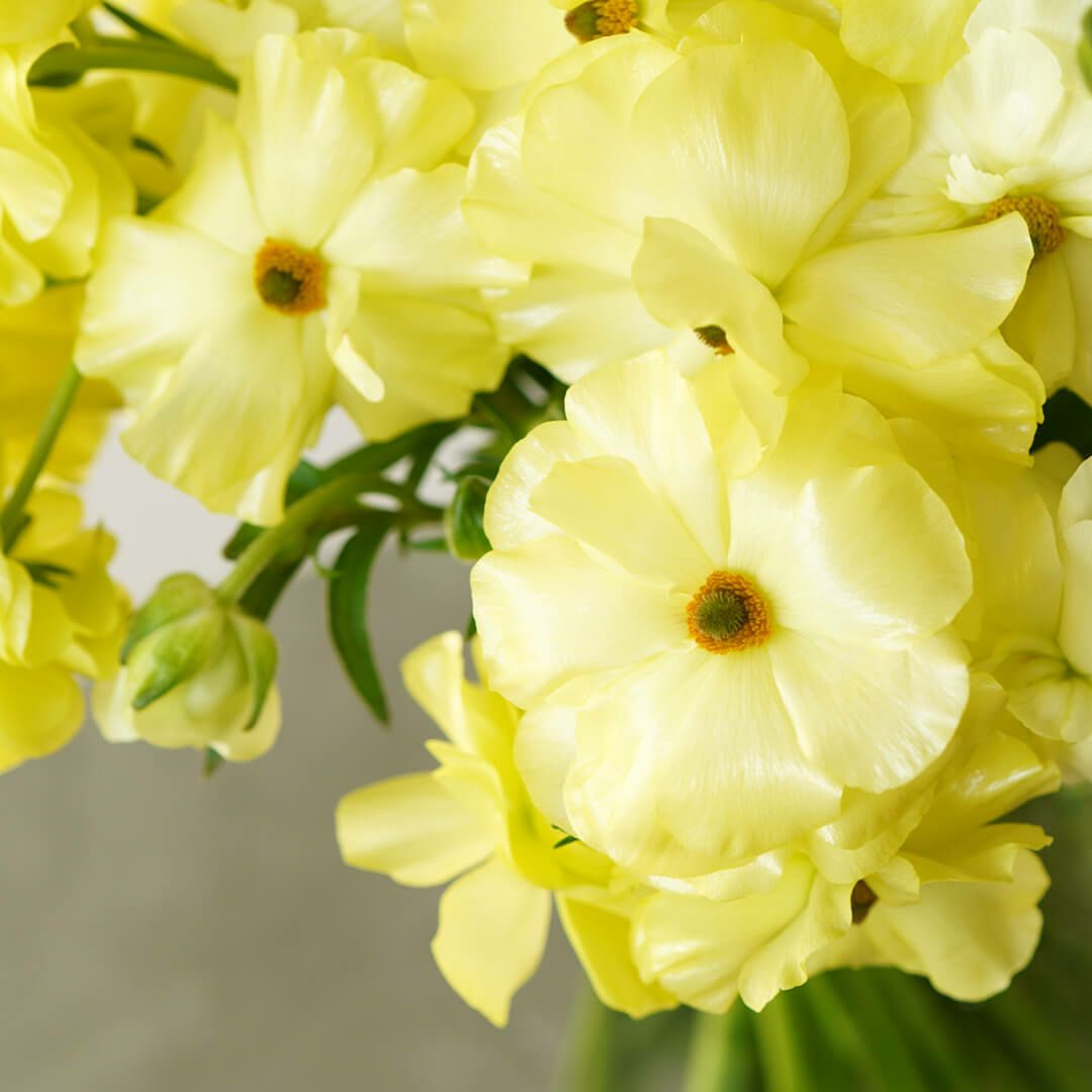黄色いラックスラナンキュラスの花束