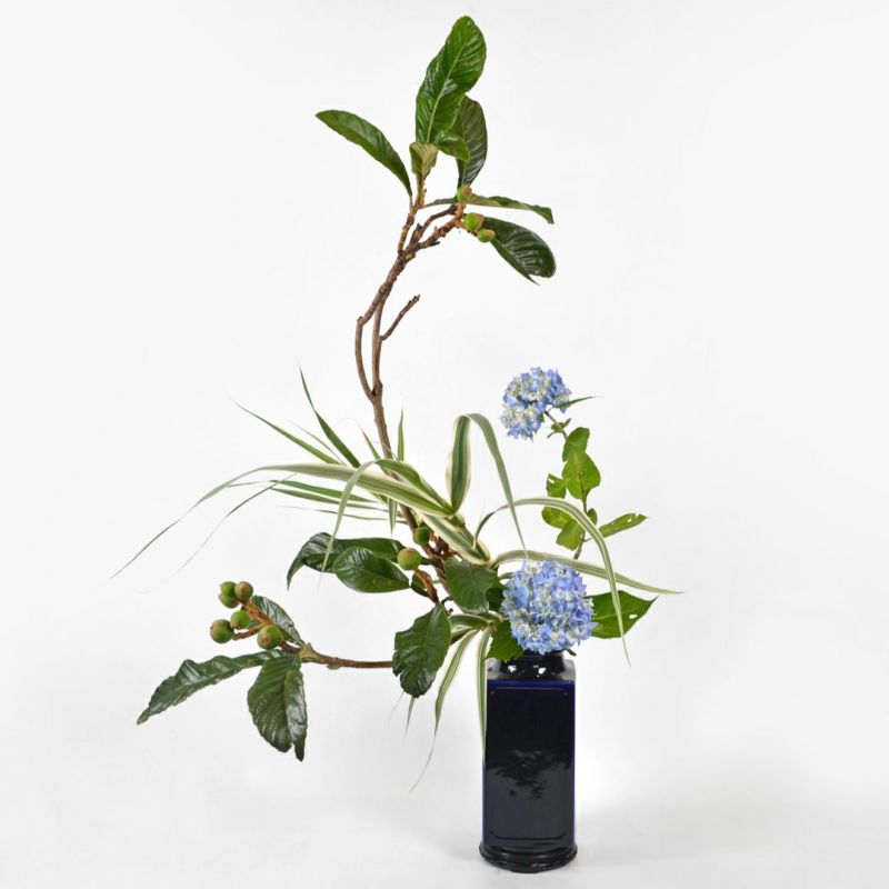 いけばな花材＜初夏・枇杷・紫陽花＞