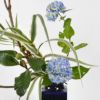 いけばな花材＜初夏・枇杷・紫陽花＞