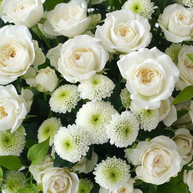 白いスプレーバラのアレンジメント（ご供花）｜青山花茂本店