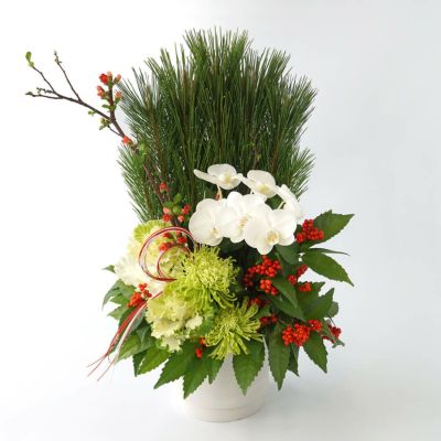 グラマトフィラム＜ヒヒマヌ＞（2本立）｜青山花茂本店