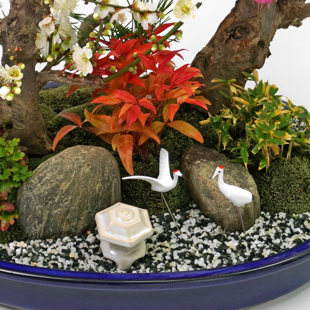 【お正月・お年賀】紅白梅盆栽（大）